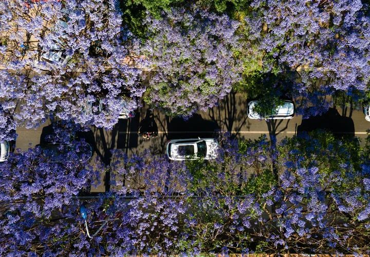 东川发布(微信)