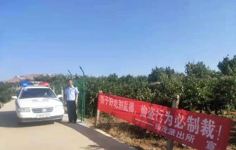 东川发布(微信)