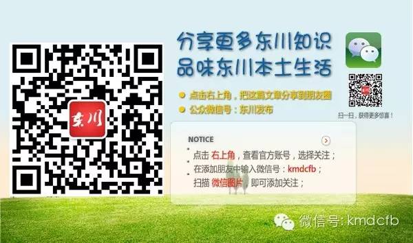 东川发布(微信)