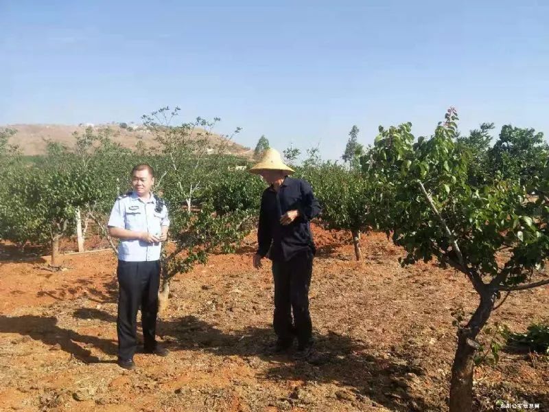 东川发布(微信)