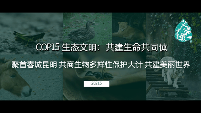 东川发布(微信)