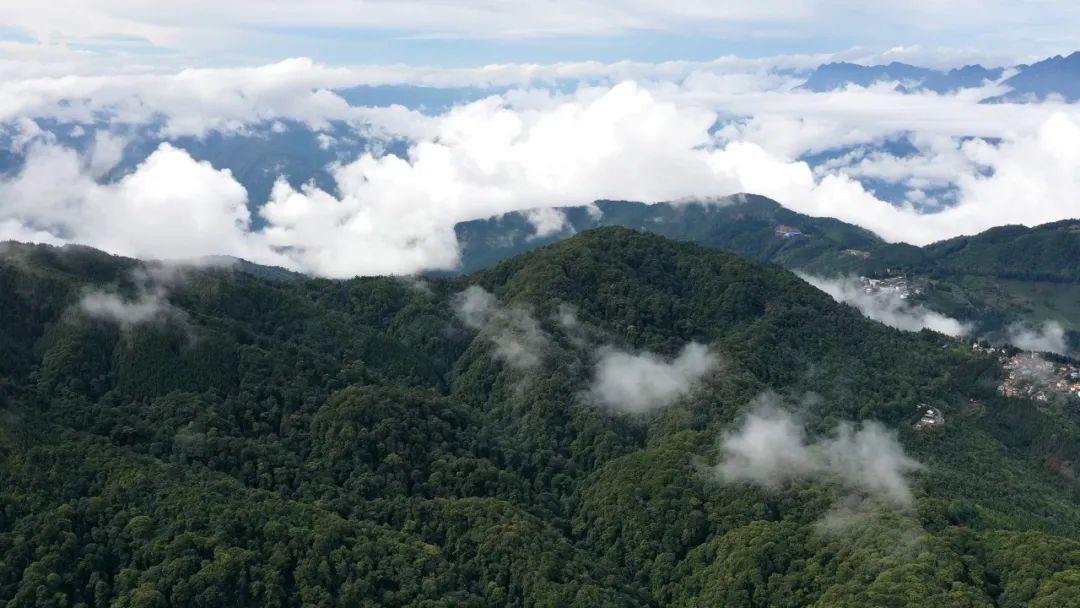 红河文旅(微信)