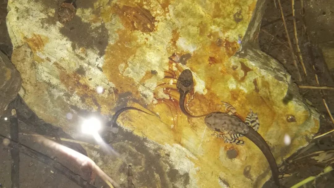 红河文旅(微信)