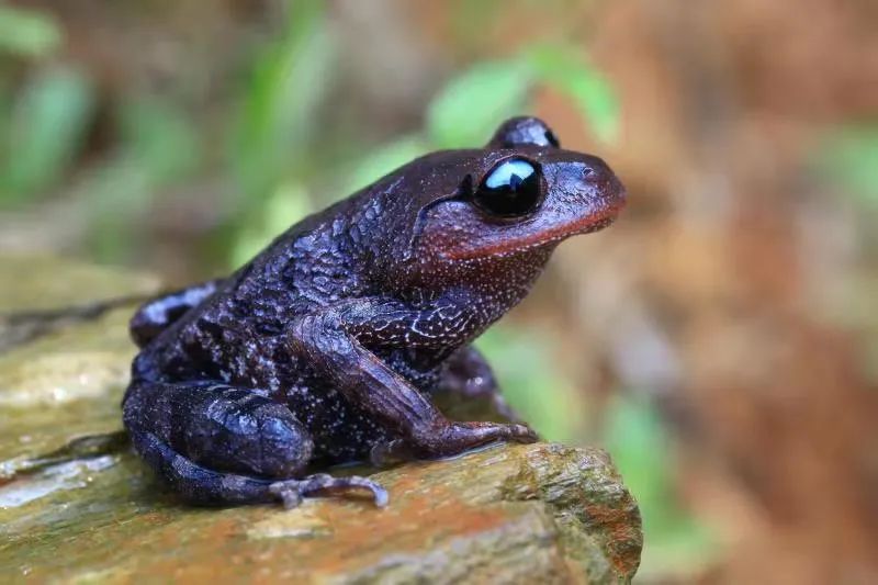 红河文旅(微信)