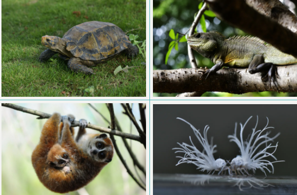 红河文旅(微信)