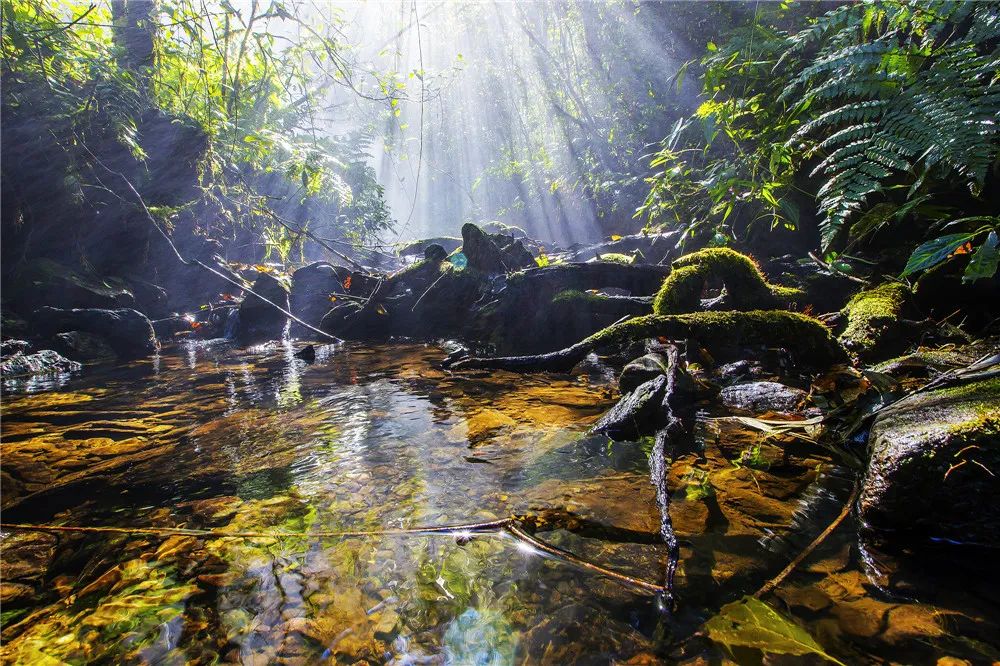 红河文旅(微信)