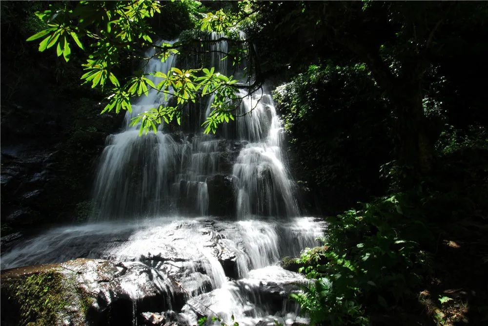 红河文旅(微信)