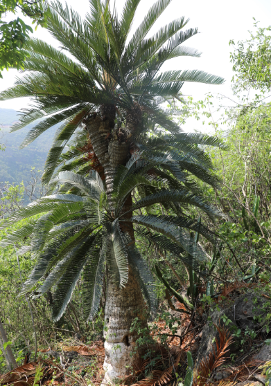 红河文旅(微信)