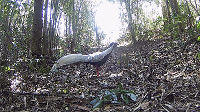 红河文旅(微信)