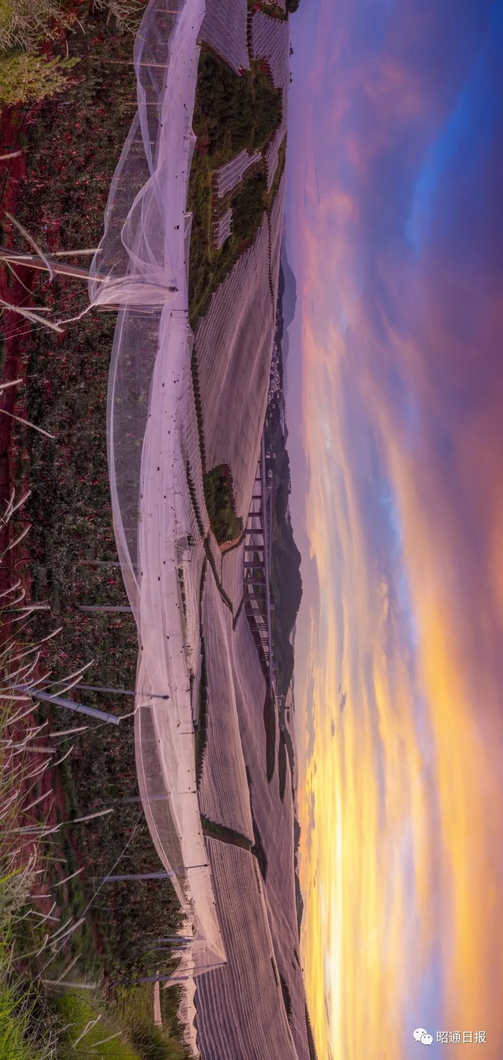 昭通日报(微信)