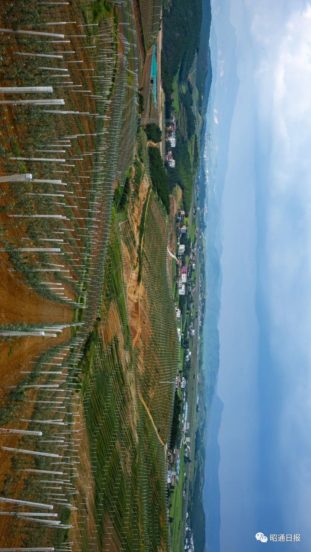 昭通日报(微信)