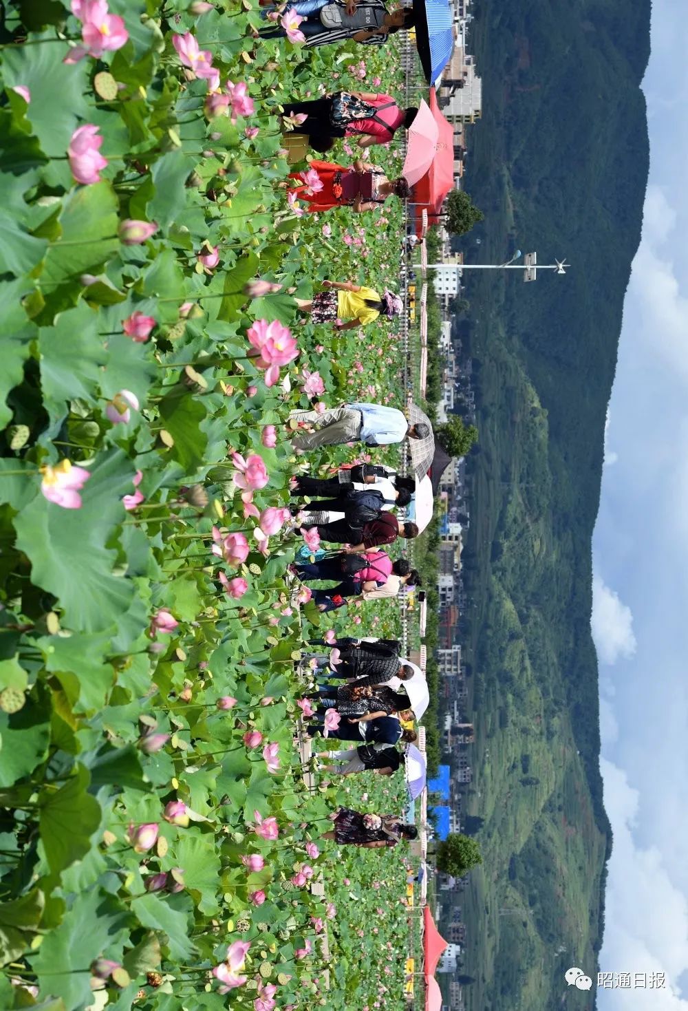 昭通日报(微信)