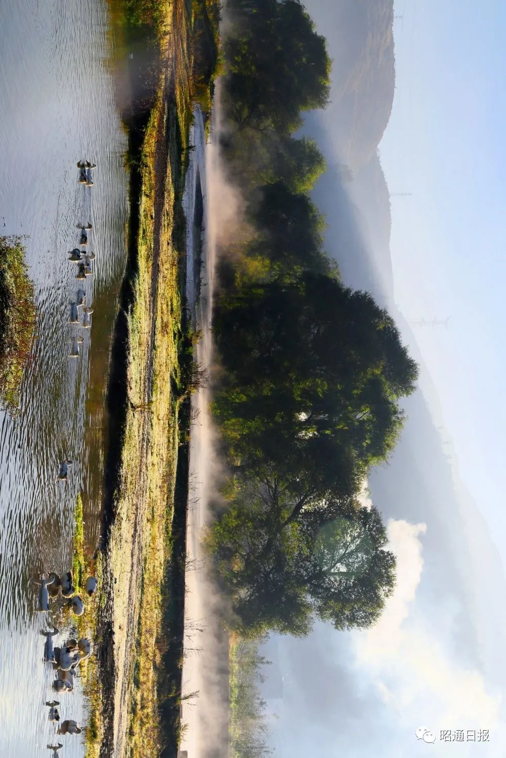 昭通日报(微信)