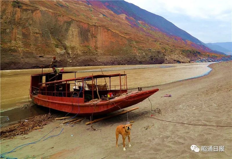 昭通日报(微信)