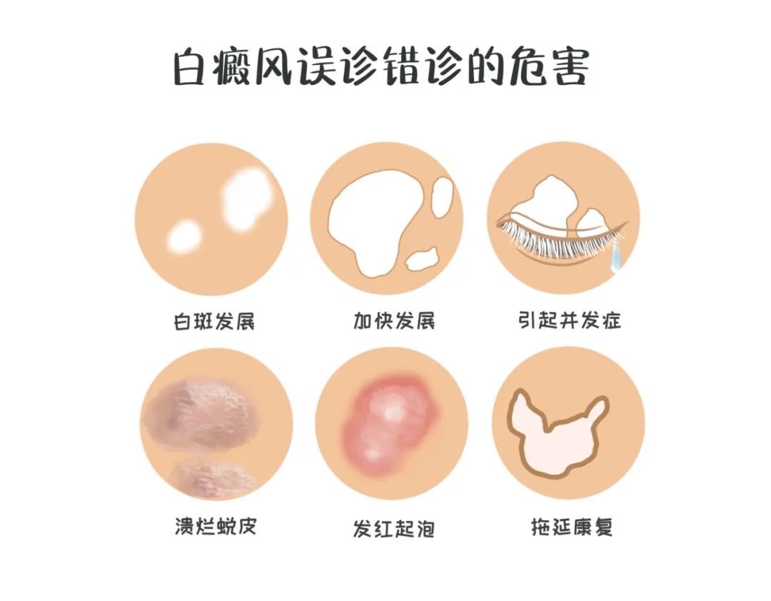 春城晚报(微信)