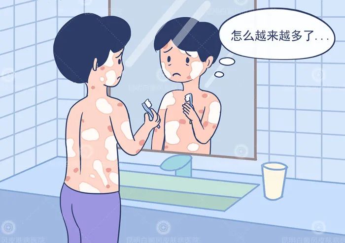 春城晚报(微信)