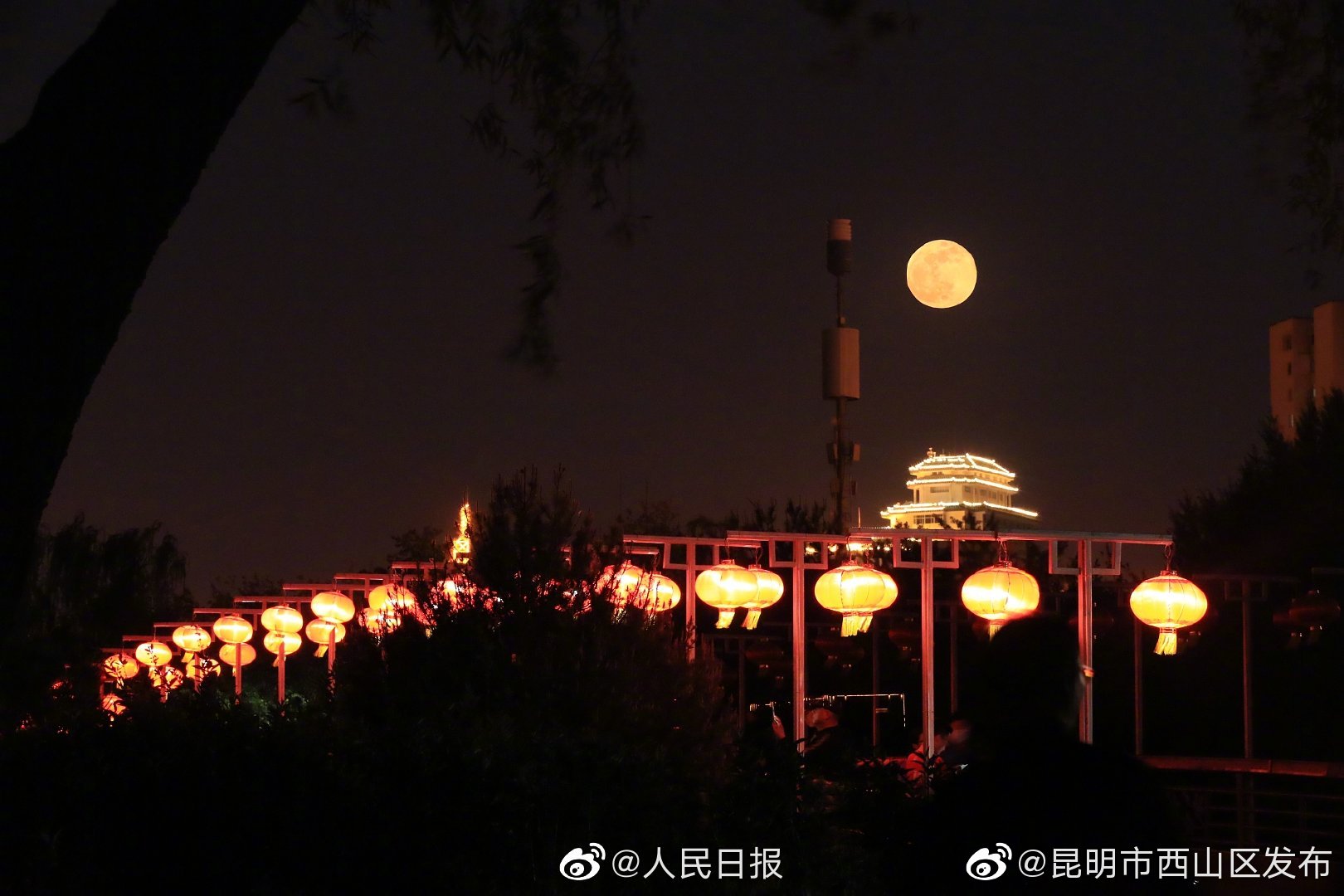 “昆明市西山区发布”微博
