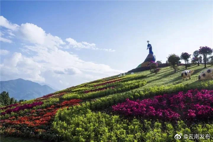 云南环境空气质量预报