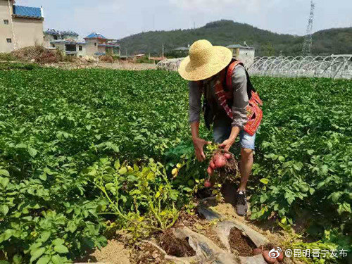 “昆明晋宁发布”微博