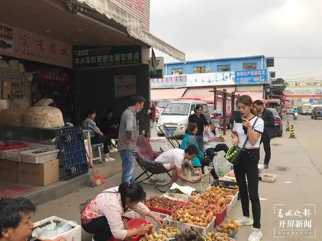 春城晚报(微信)