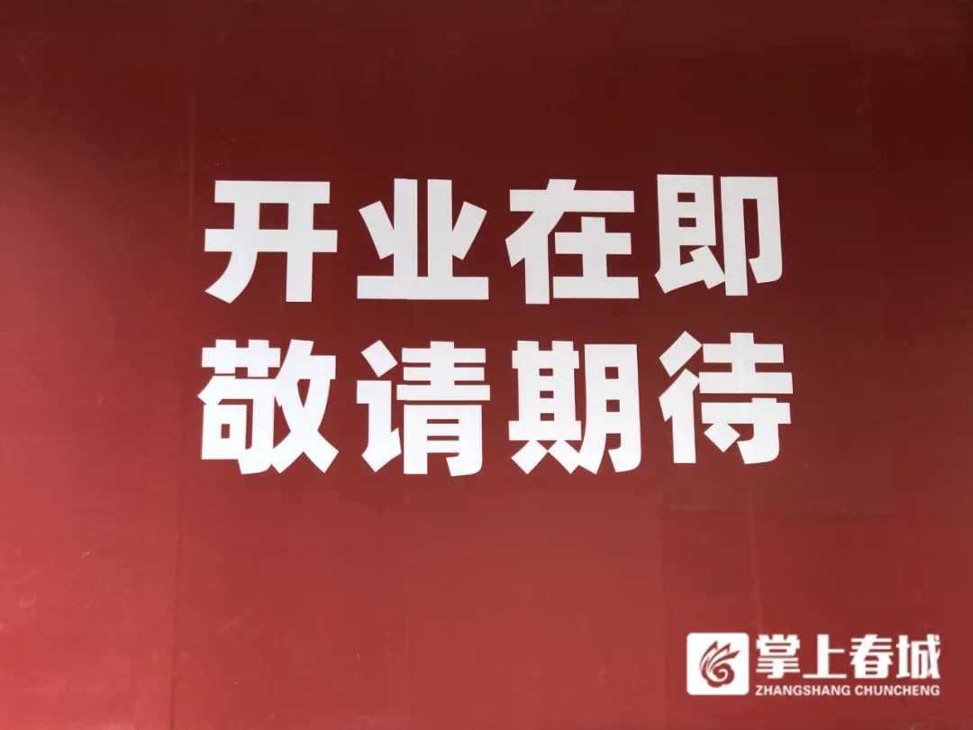 掌上春城(微信)