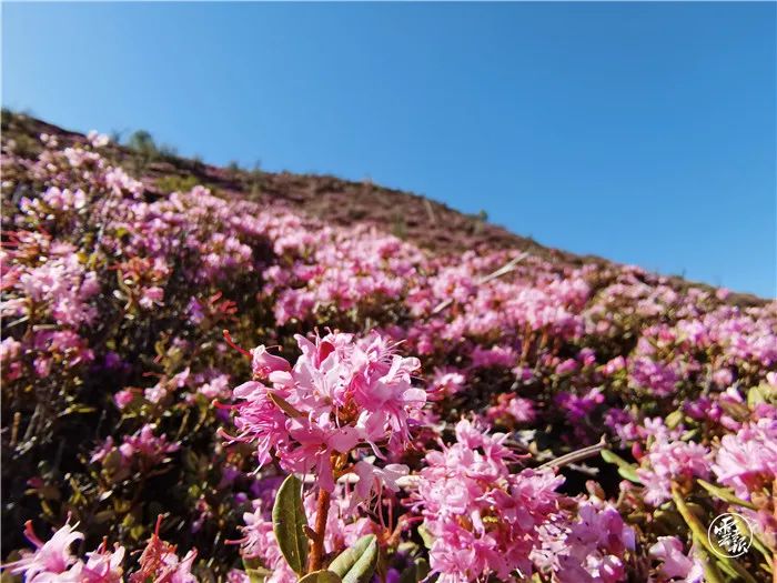 昆明发布(微信)