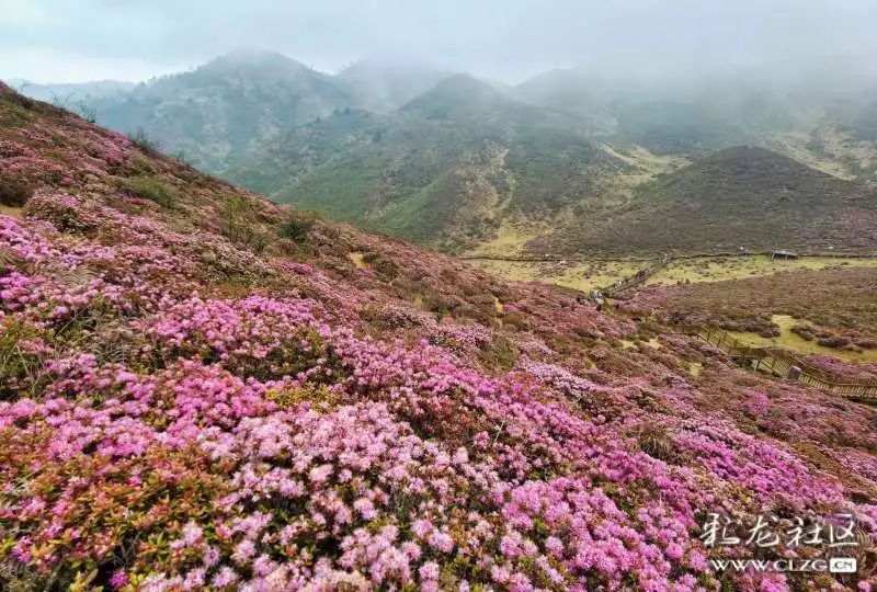 昆明发布(微信)