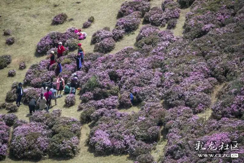 昆明发布(微信)