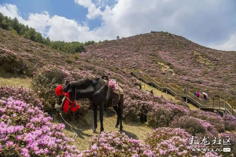 昆明发布(微信)