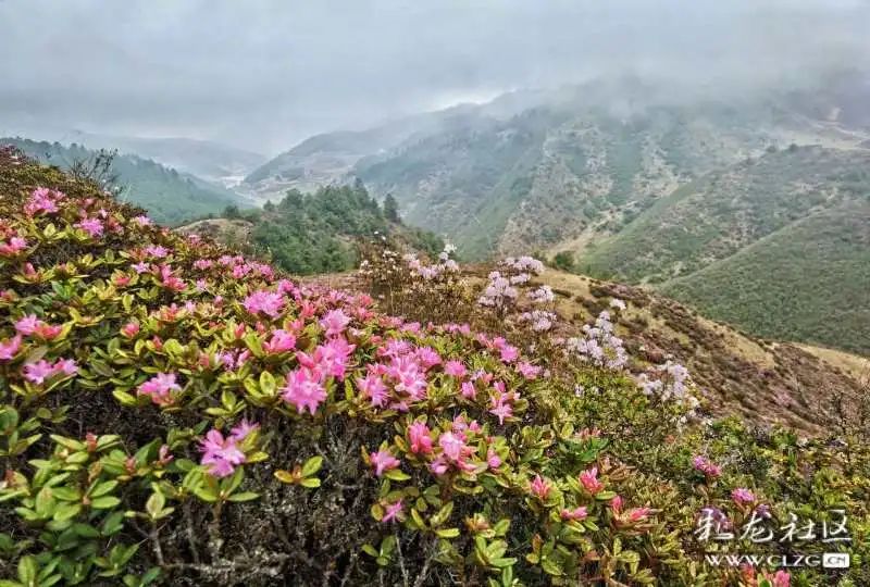 昆明发布(微信)