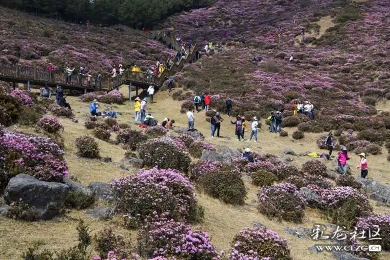 昆明发布(微信)