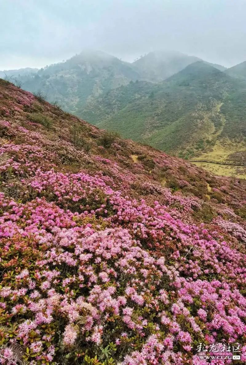 昆明发布(微信)