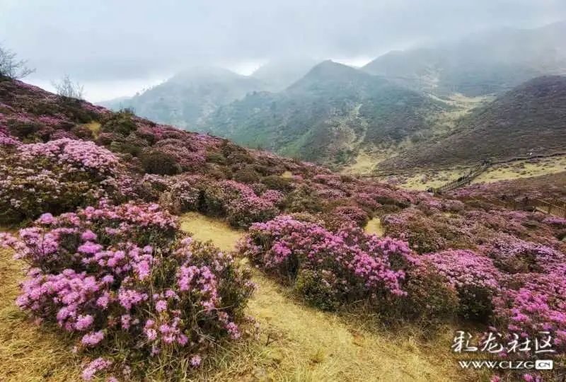 昆明发布(微信)