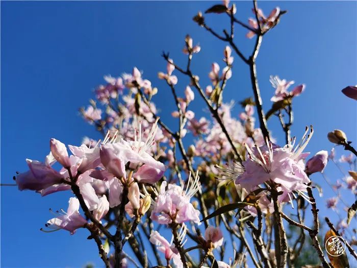 昆明发布(微信)