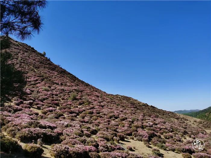 昆明发布(微信)