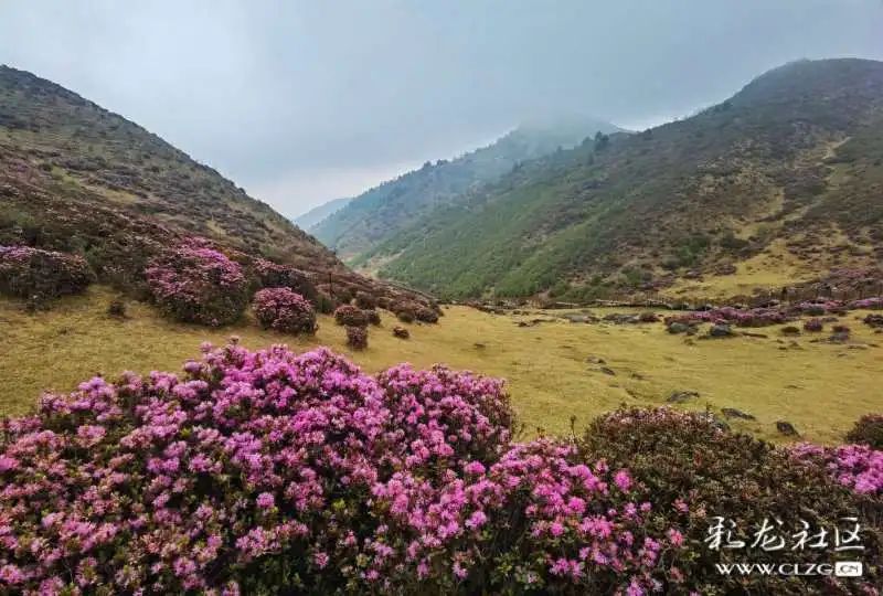 昆明发布(微信)