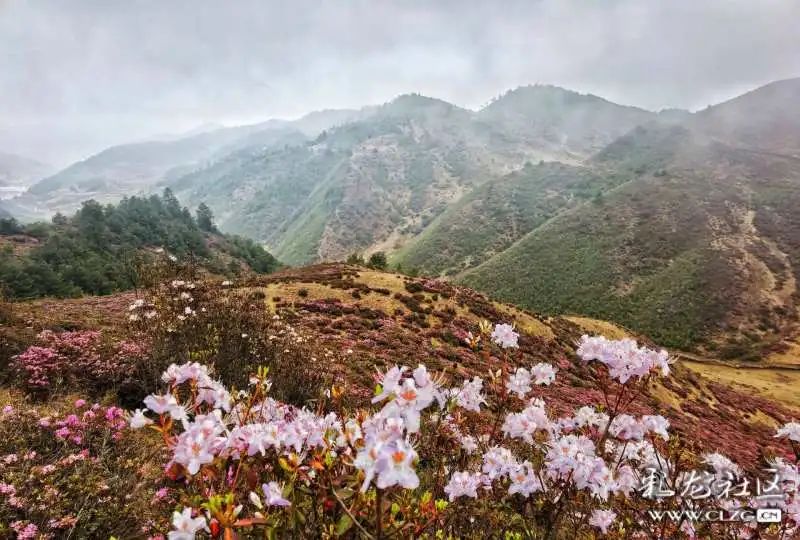 昆明发布(微信)