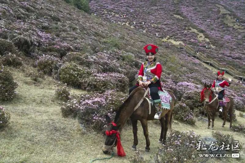 昆明发布(微信)