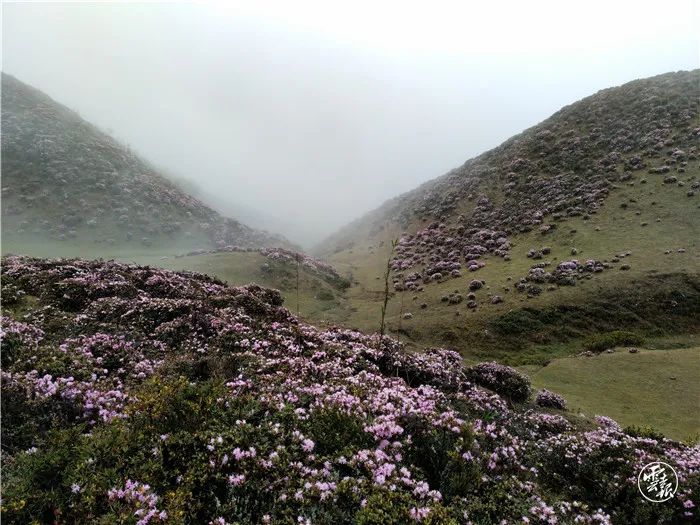 昆明发布(微信)