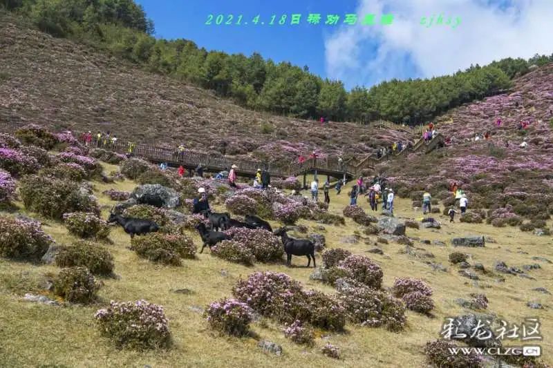 昆明发布(微信)