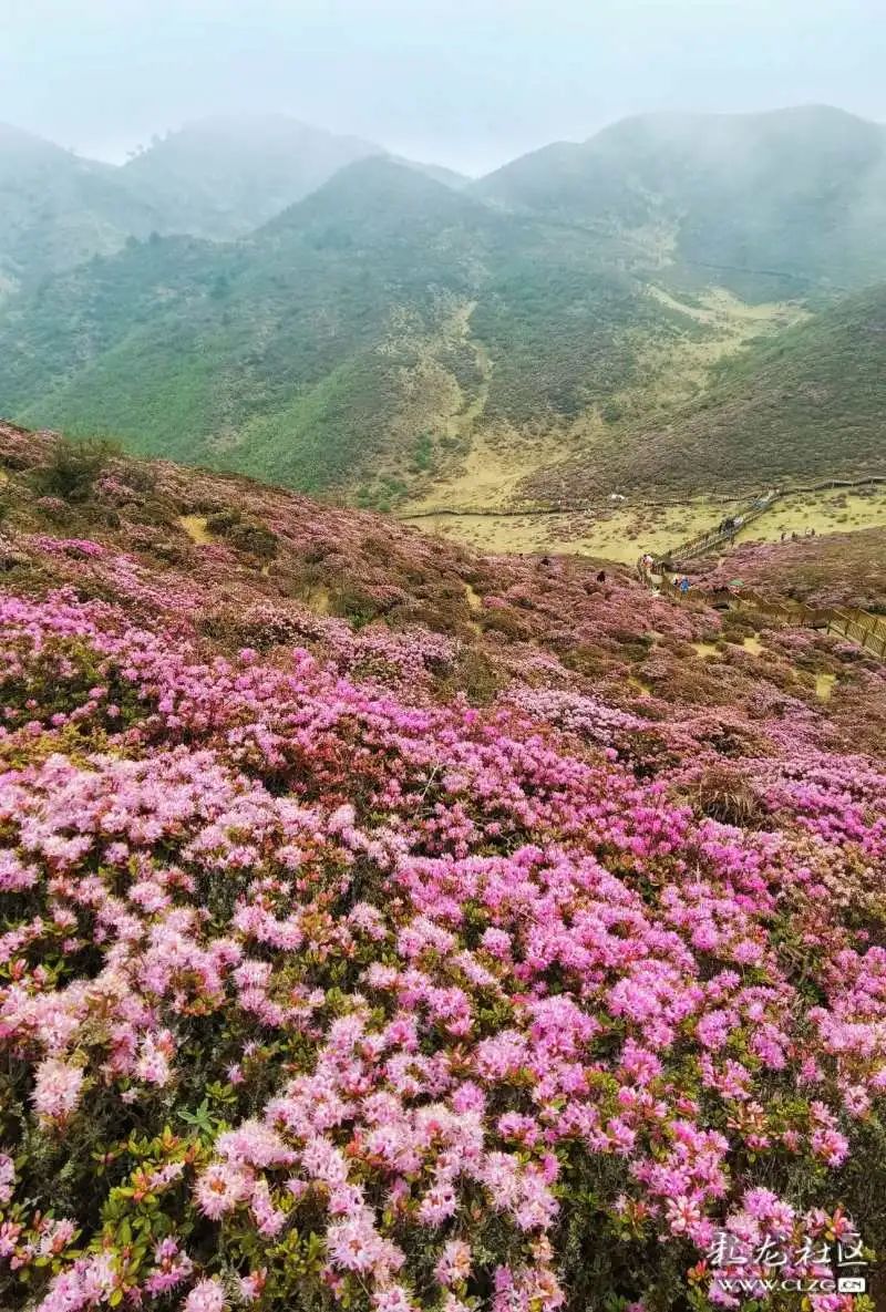 昆明发布(微信)