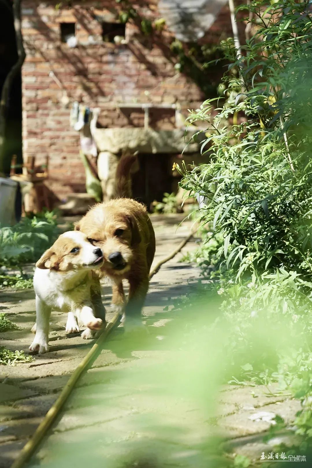 玉溪发布(微信)