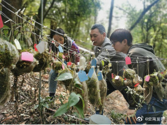 “云南发布”微博