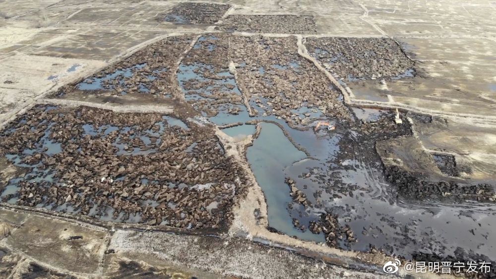 新华全媒+丨禁不住的“黑土”交易 斩不断的“黑色”利益