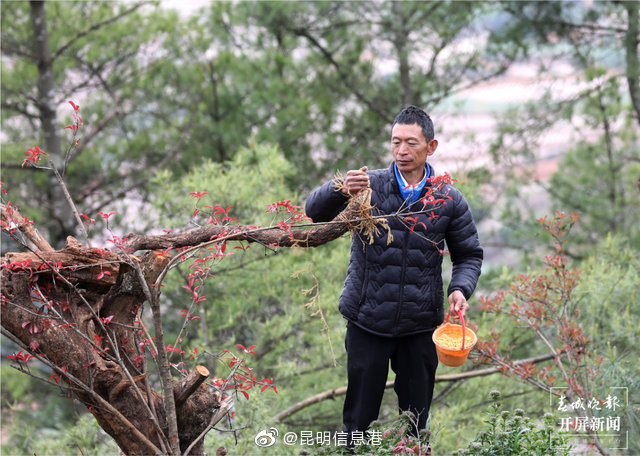 昆明信息港微博