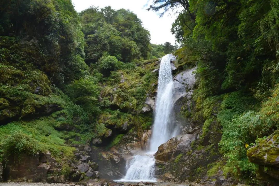 福贡先锋(微信)