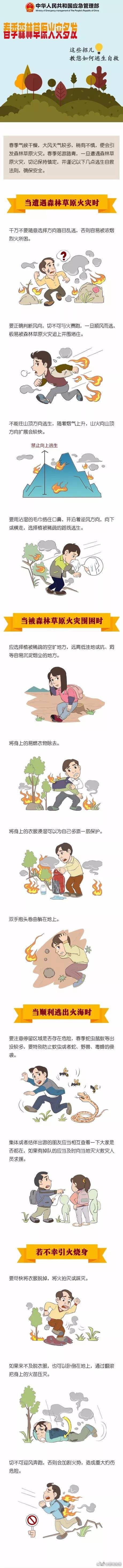 发生森林火灾时，如何逃生自救？ 
