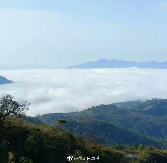 昆明信息港微博