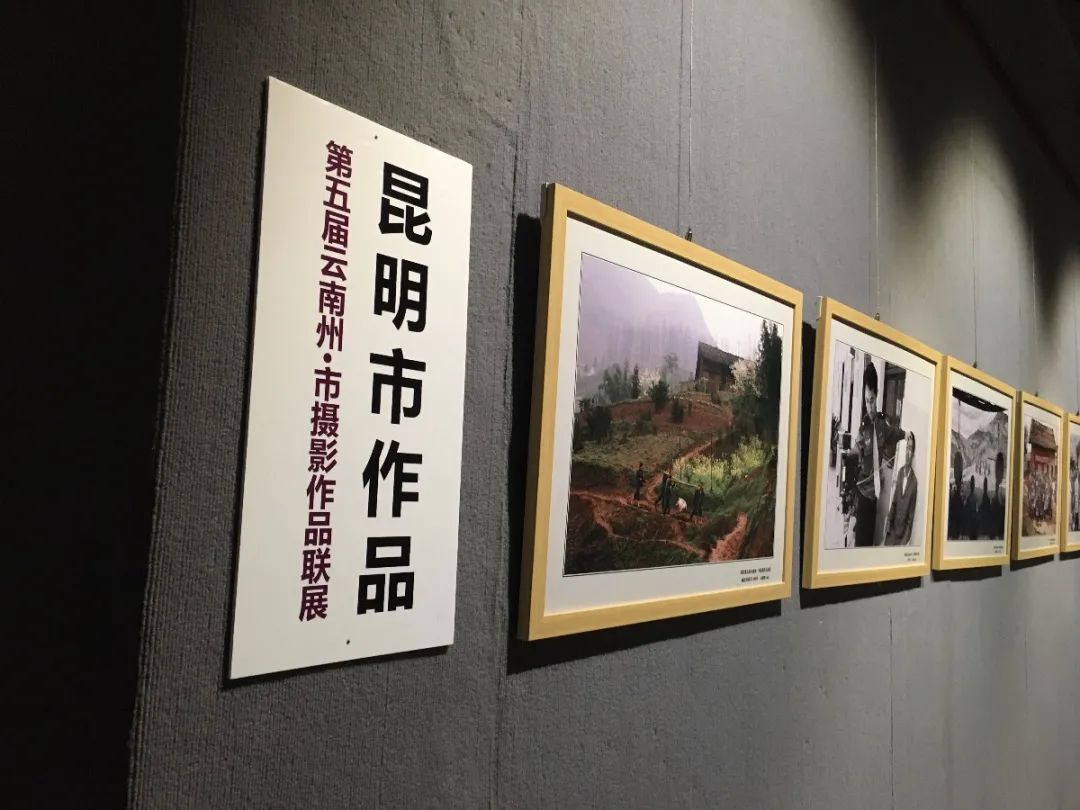 昆明市博物馆(微信)