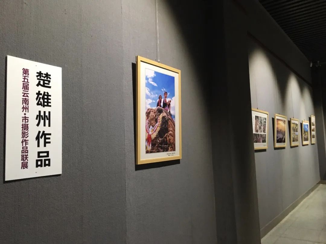 昆明市博物馆(微信)